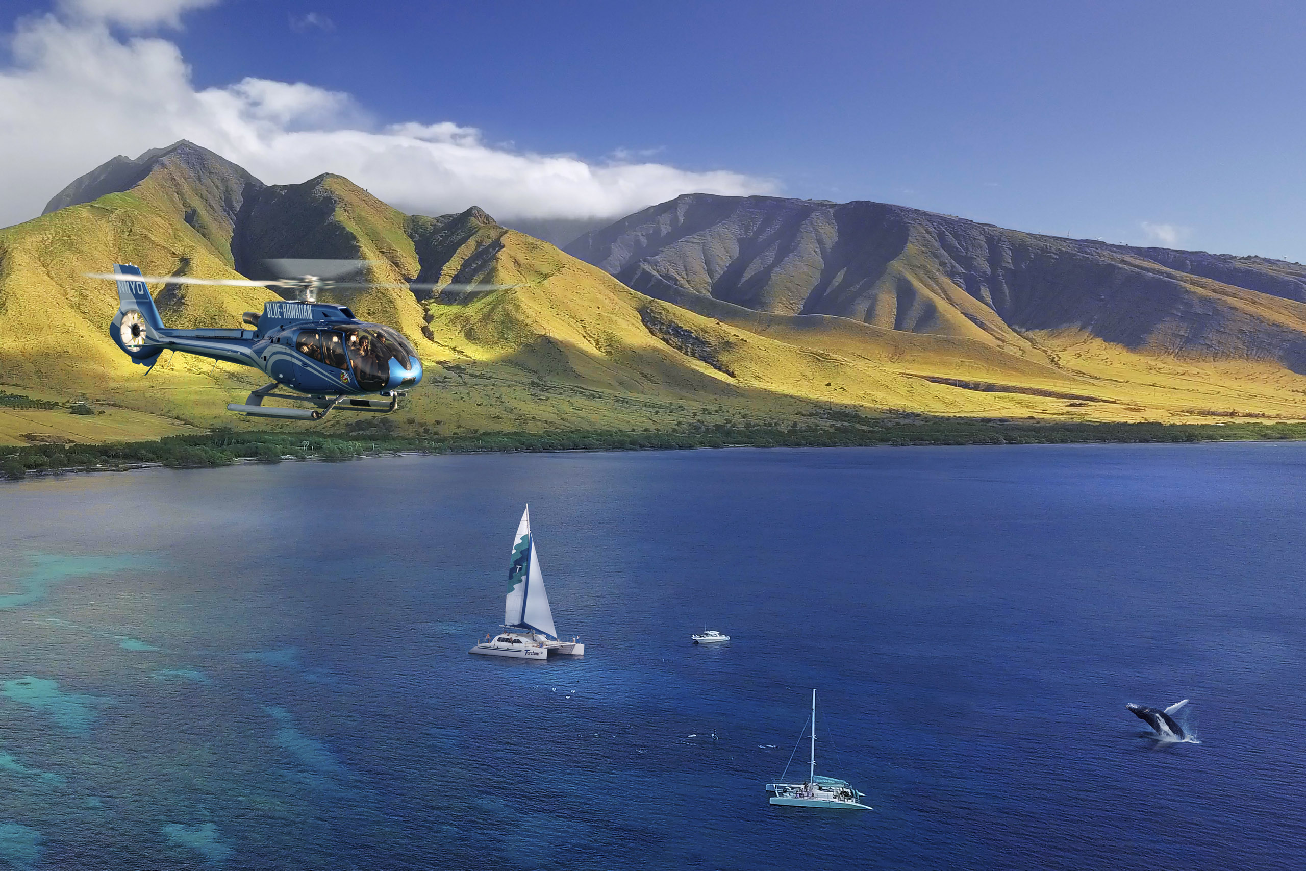 Product Heli-Whale Experience Maui